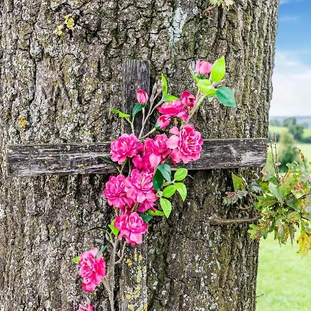 Cozy In With Garden Holiday home Voerendaal