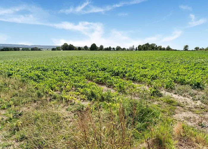 Dom wakacyjny Cozy In With Garden Voerendaal