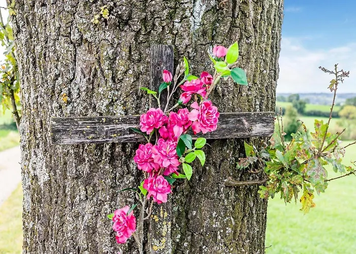 Cozy In With Garden Dom wakacyjny Voerendaal